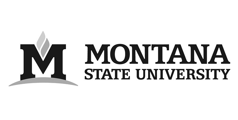 montana-state-logo
